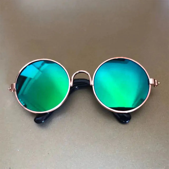 Pet Sunglasses  WideNet Global Marketplace 3 M 