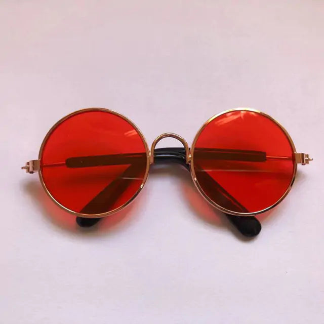 Pet Sunglasses  WideNet Global Marketplace 9 M 