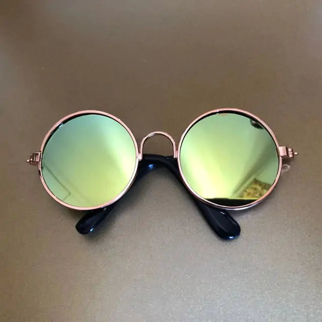 Pet Sunglasses  WideNet Global Marketplace 2 M 