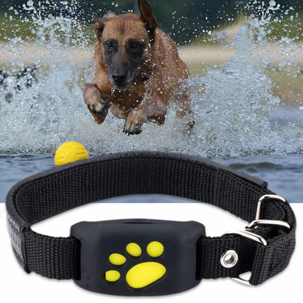 Pet GPS Tracker Collar  WideNet Global Marketplace   