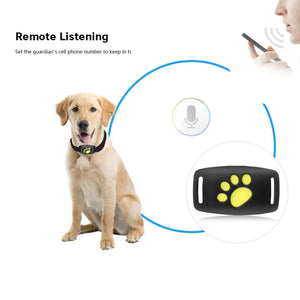 Pet GPS Tracker Collar  WideNet Global Marketplace   