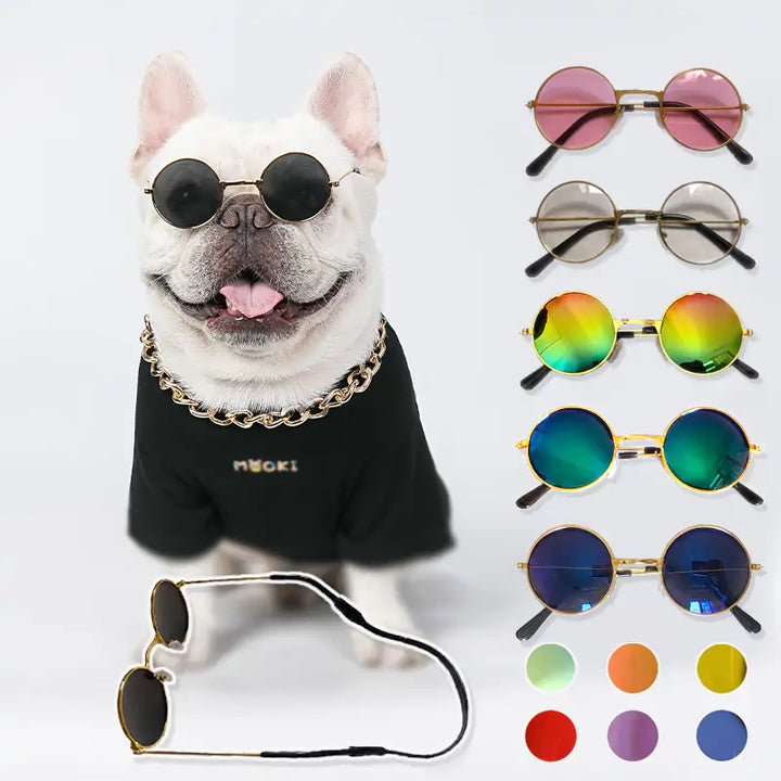 Pet Sunglasses  WideNet Global Marketplace   