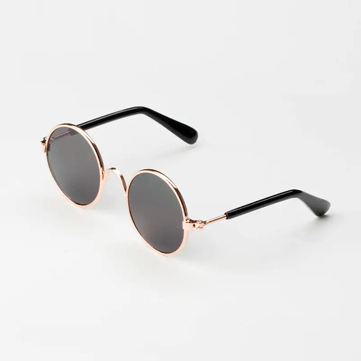 Pet Sunglasses  WideNet Global Marketplace   