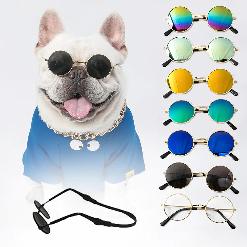 Pet Sunglasses  WideNet Global Marketplace   