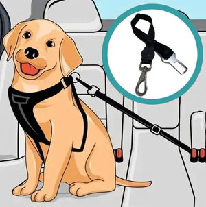 Pet Seatbelt  WideNet Global Marketplace   