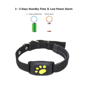 Pet GPS Tracker Collar  WideNet Global Marketplace   